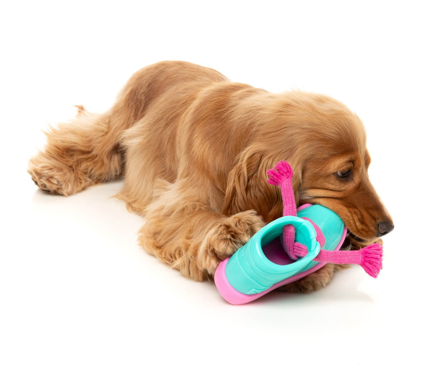 Fresh Kicks N' Licks - Interactive Chew Toy by FuzzYard