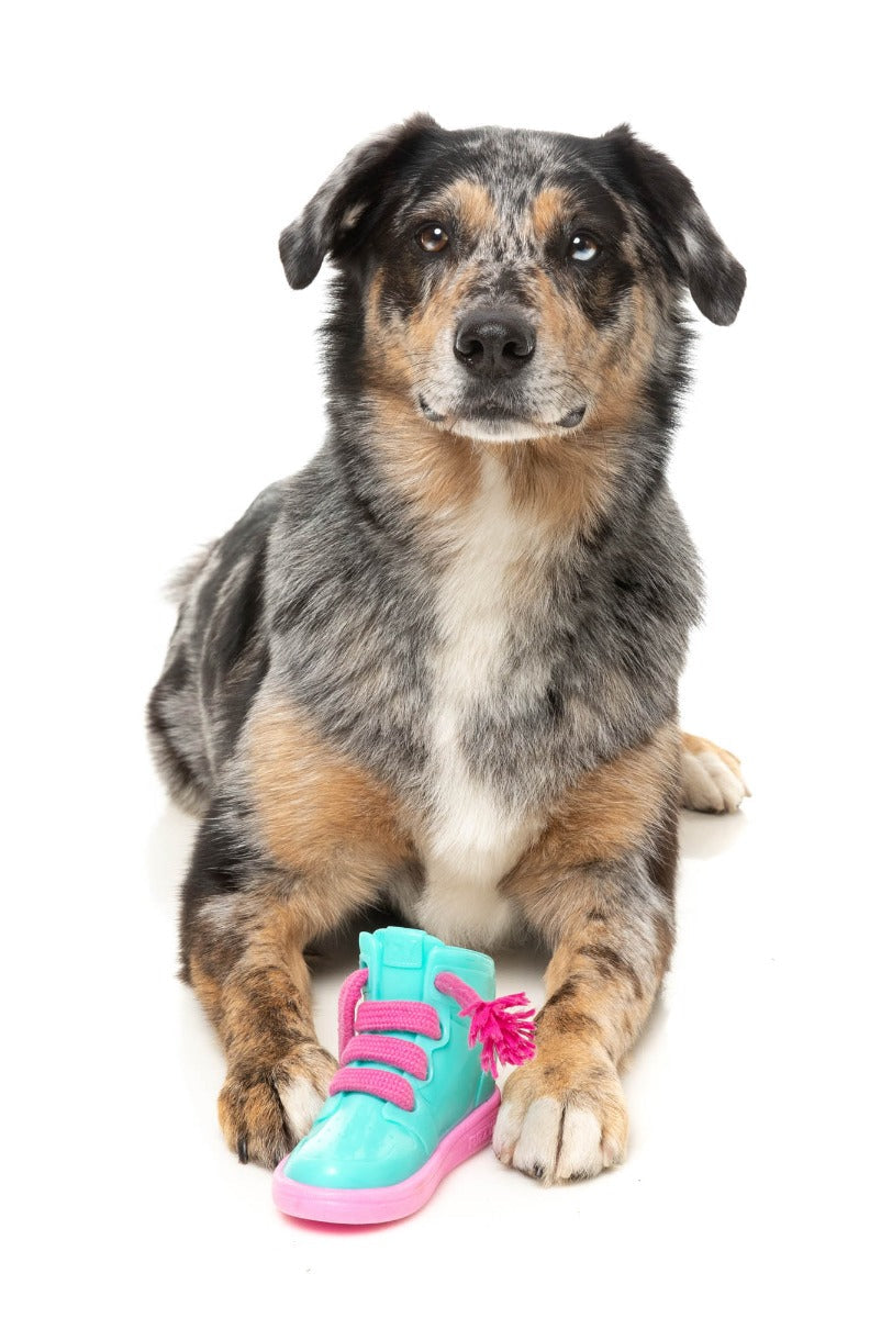 Fresh Kicks N' Licks - Interactive Chew Toy by FuzzYard