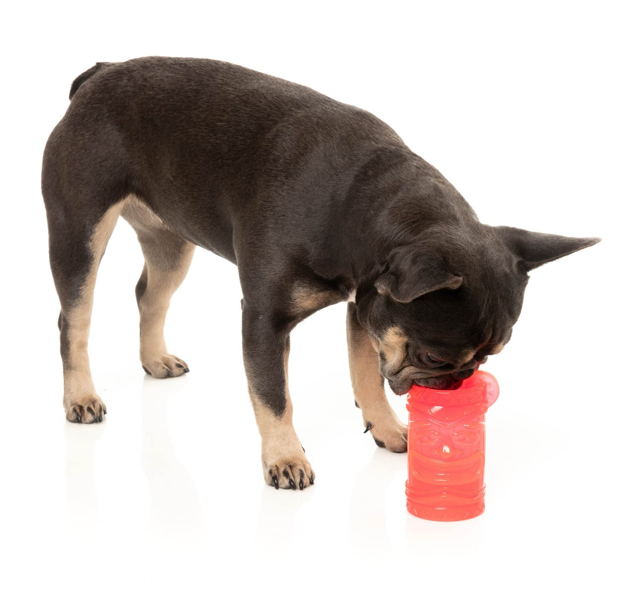 Pina Coolada Freeze - Interactive Chew Toy by FuzzYard