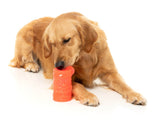 Pina Coolada Freeze - Interactive Chew Toy by FuzzYard