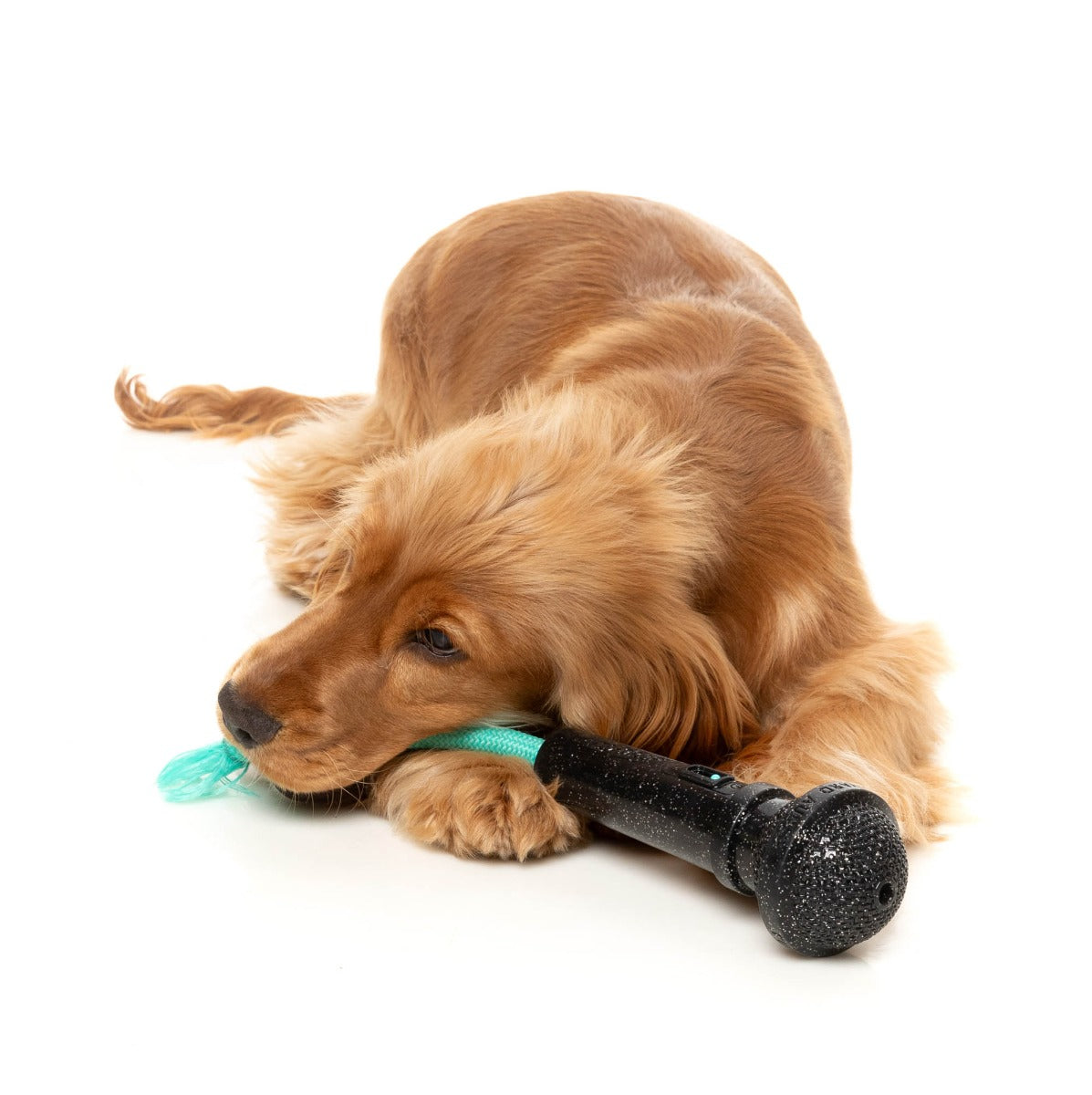 Mic Drop - Interactive Chew Toy by FuzzYard