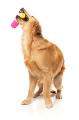 Chill Pill - Interactive Chew Toy by FuzzYard