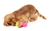 Chill Pill - Interactive Chew Toy by FuzzYard