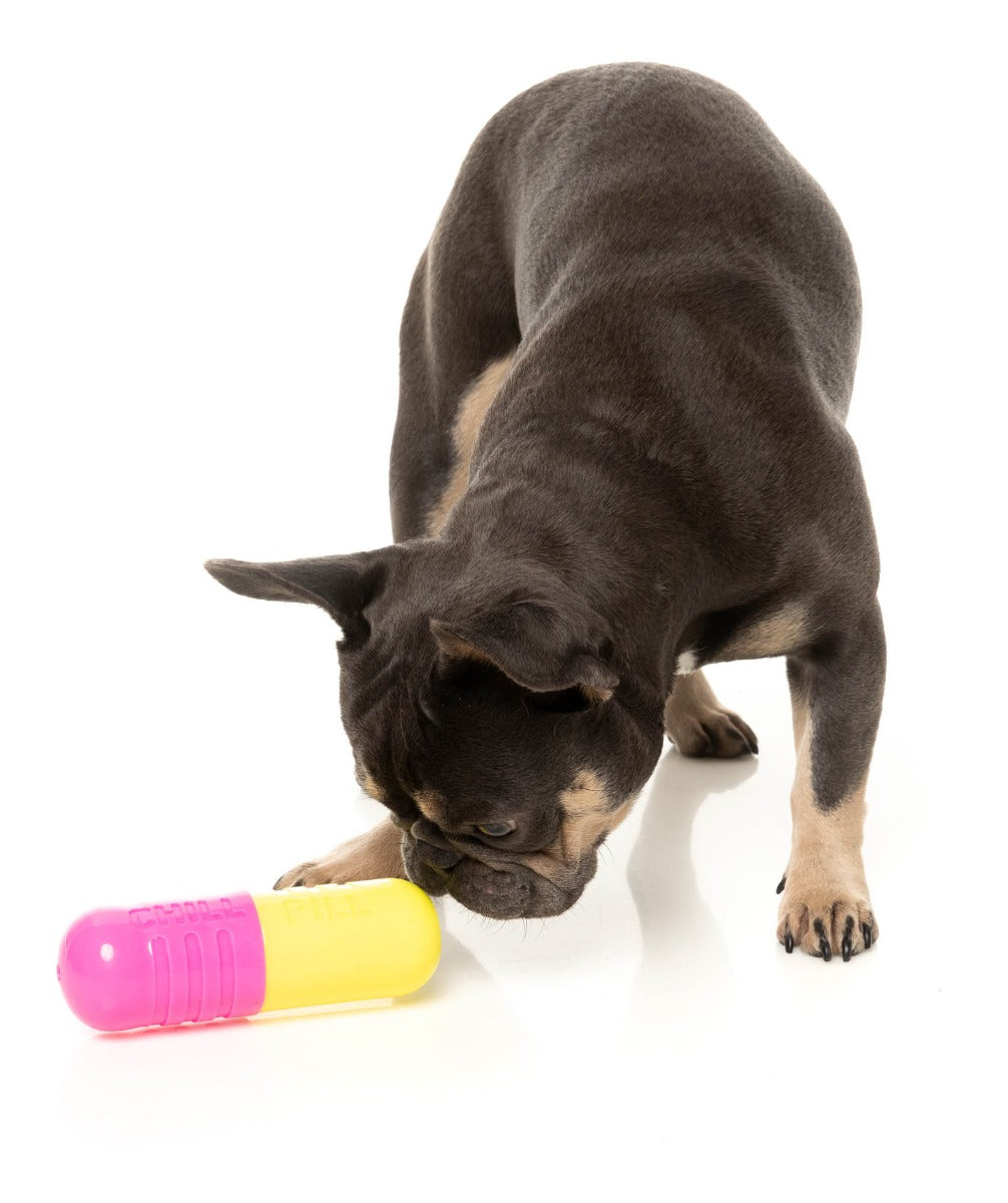Chill Pill - Interactive Chew Toy by FuzzYard