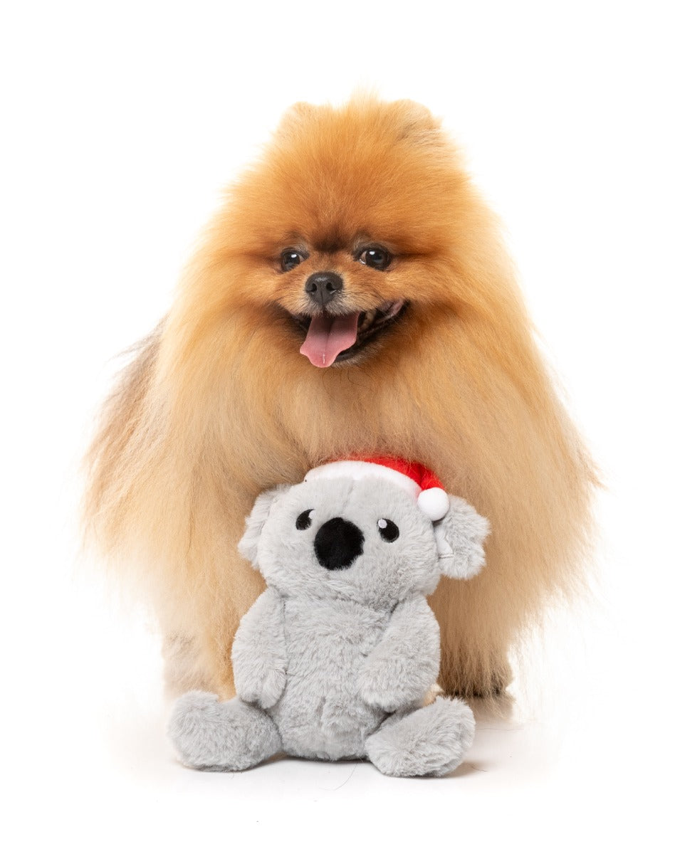 Coco Koala - Dog Toy by FuzzYard
