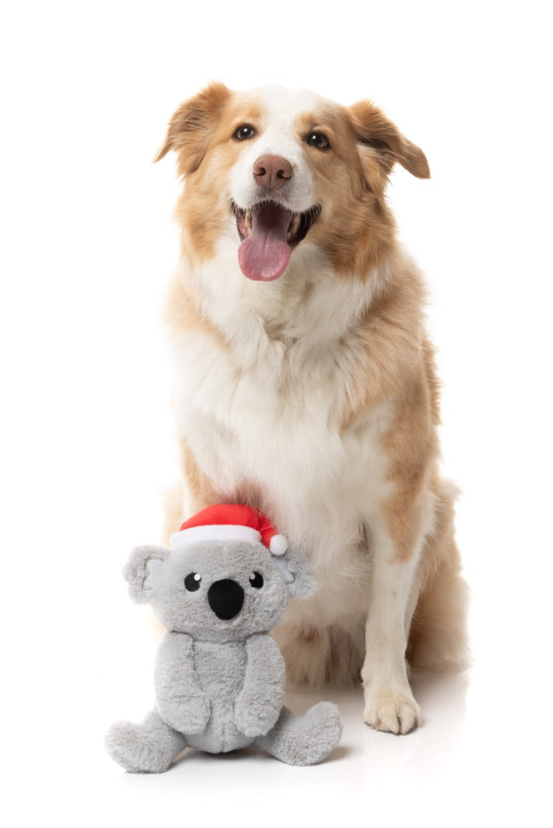 Coco Koala - Dog Toy by FuzzYard