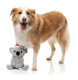 Coco Koala - Dog Toy by FuzzYard