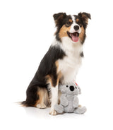 Coco Koala - Dog Toy by FuzzYard