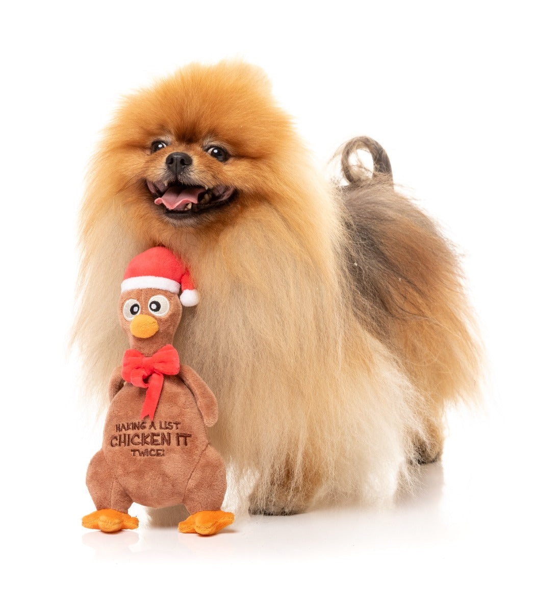 Chicken It Twice Chook - Dog Toy by FuzzYard