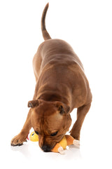 Never Skip Leg Day Chook - Dog Toy