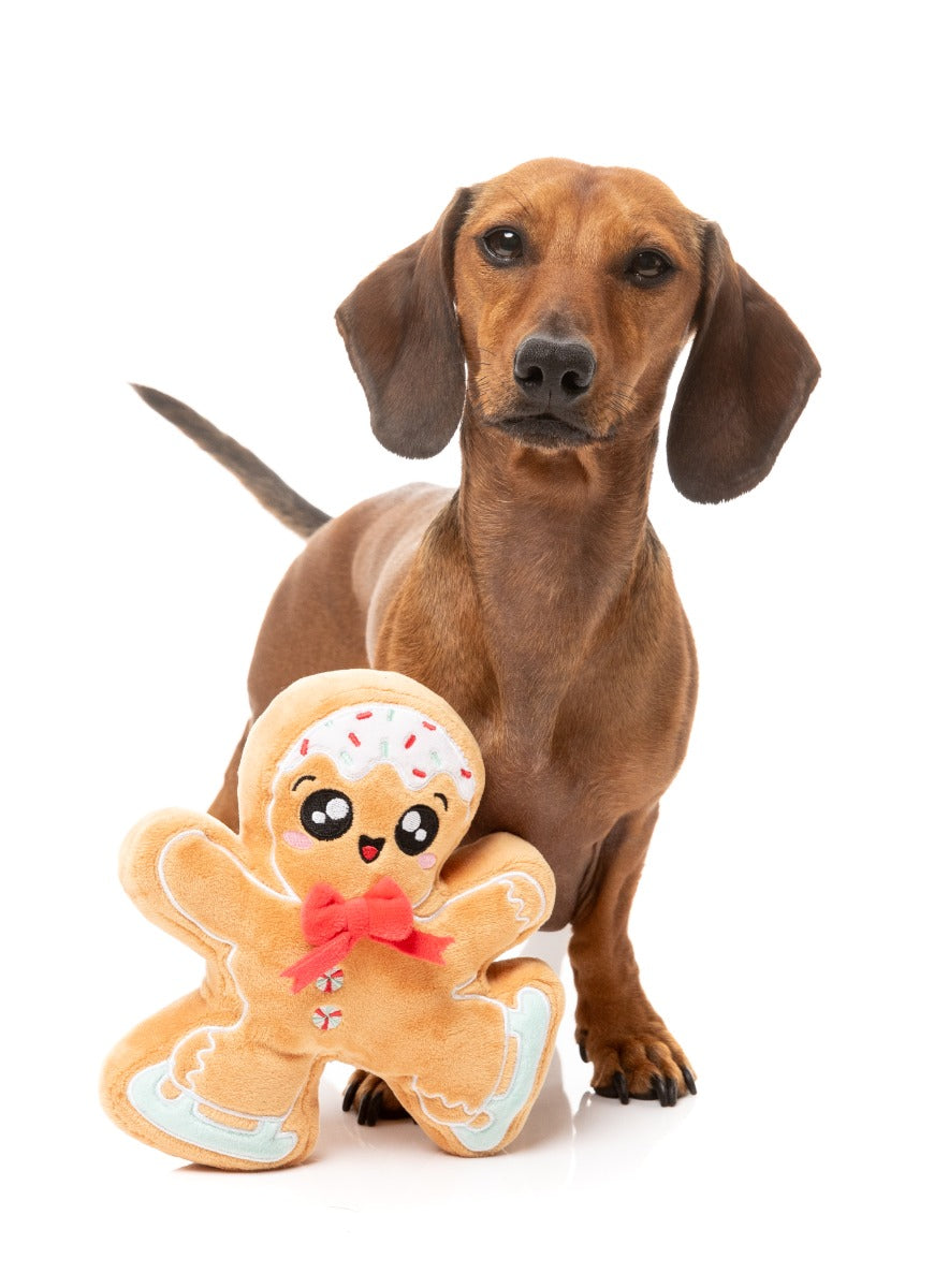 Biscuit Blader - Dog Toy by FuzzYard