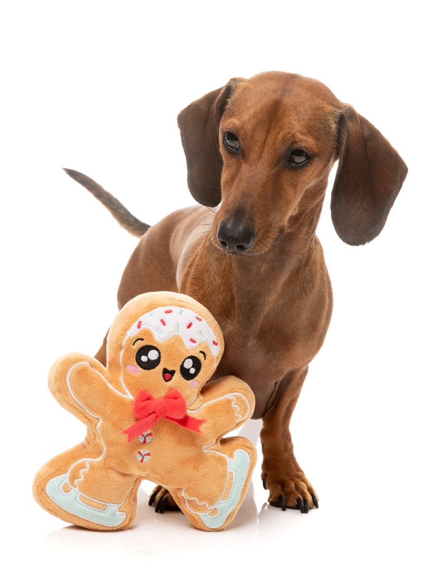 Biscuit Blader - Dog Toy by FuzzYard