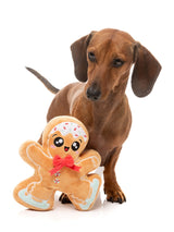 Biscuit Blader - Dog Toy by FuzzYard