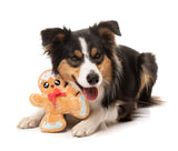 Biscuit Blader - Dog Toy by FuzzYard
