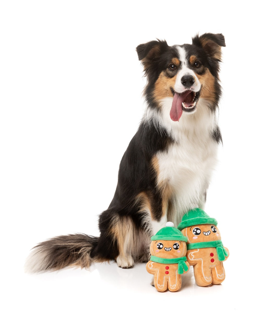 Holly Jolly Chillybread - Dog Toy by FuzzYard