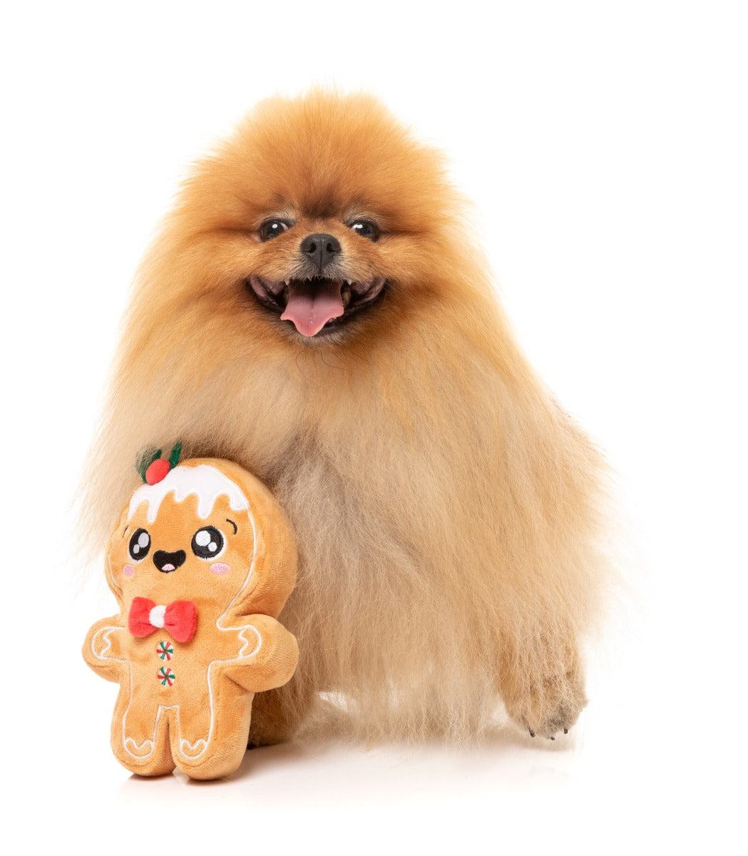 Mistle-Dough - Dog Toy by FuzzYard