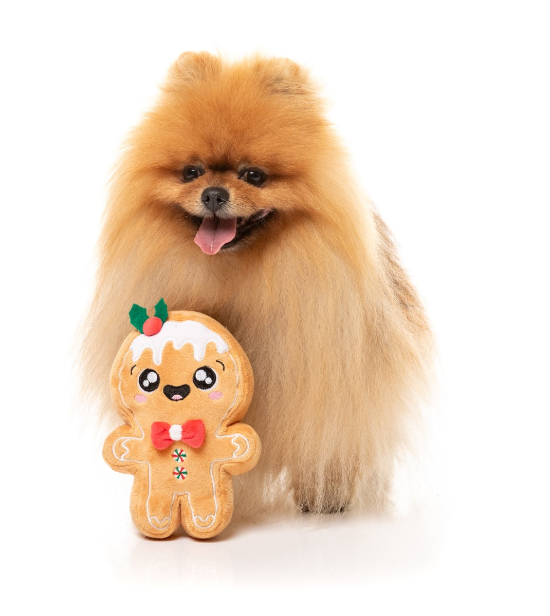 Mistle-Dough - Dog Toy by FuzzYard