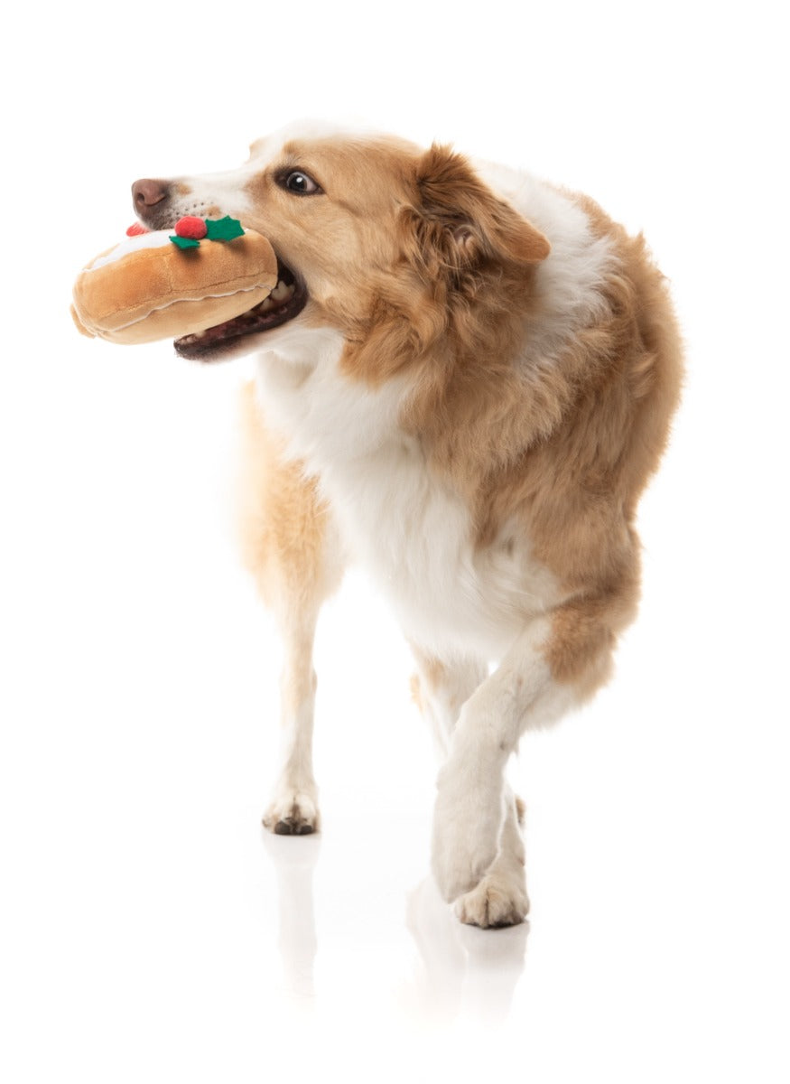 Mistle-Dough - Dog Toy by FuzzYard