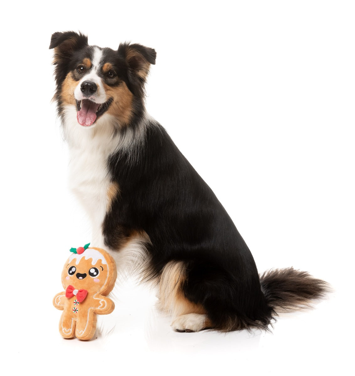 Mistle-Dough - Dog Toy by FuzzYard