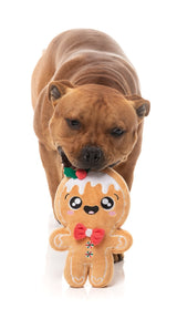 Mistle-Dough - Dog Toy by FuzzYard
