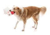 Fleece Navidad - Dog Toy by FuzzYard