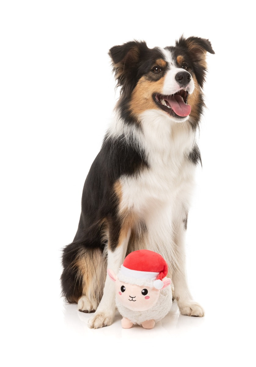 Fleece Navidad - Dog Toy by FuzzYard