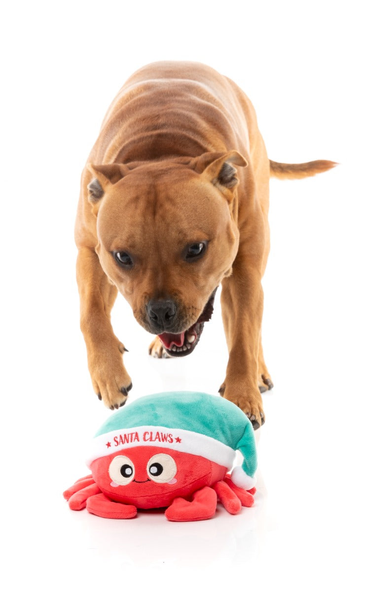 Santa Claws - Dog Toy by FuzzYard