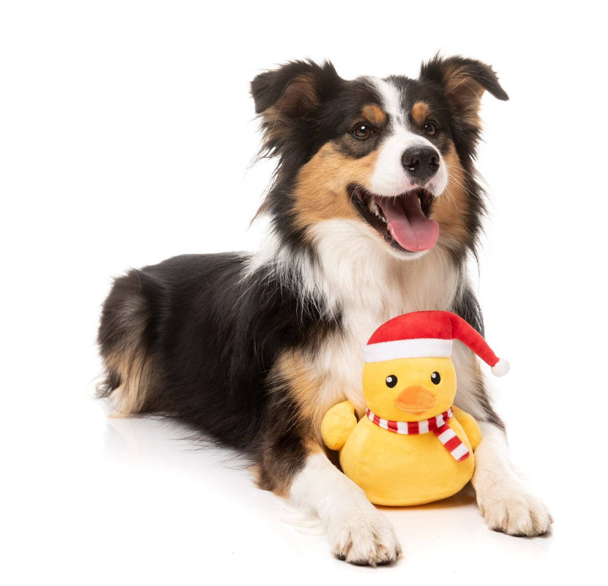 Festive Waddles - Dog Toy by FuzzYard