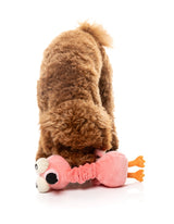 Neck Minnits - Neckole The Flamingo by FuzzYard