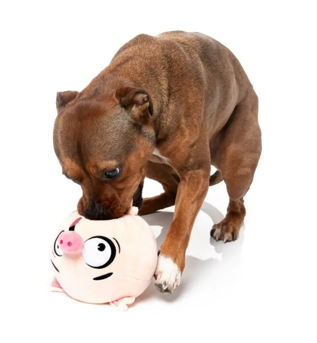 Dog Toy - Snoop Hogg