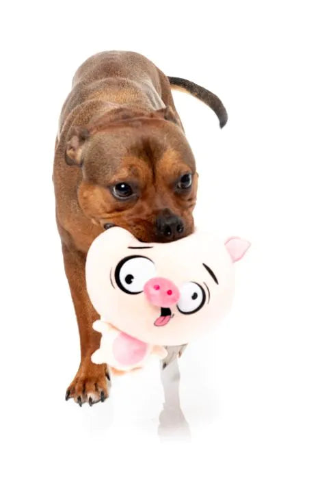 Dog Toy - Snoop Hogg