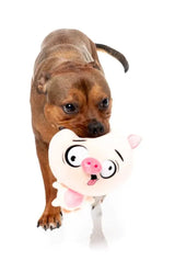 Dog Toy - Snoop Hogg