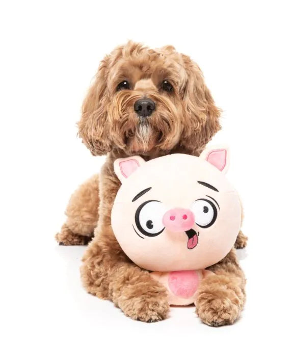 Dog Toy - Snoop Hogg