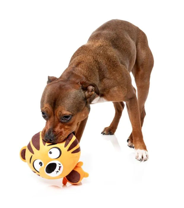 Dog Toy - Roarnaldo