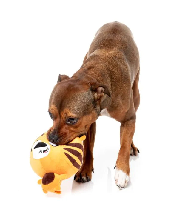 Dog Toy - Roarnaldo