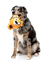 Dog Toy - Roarnaldo