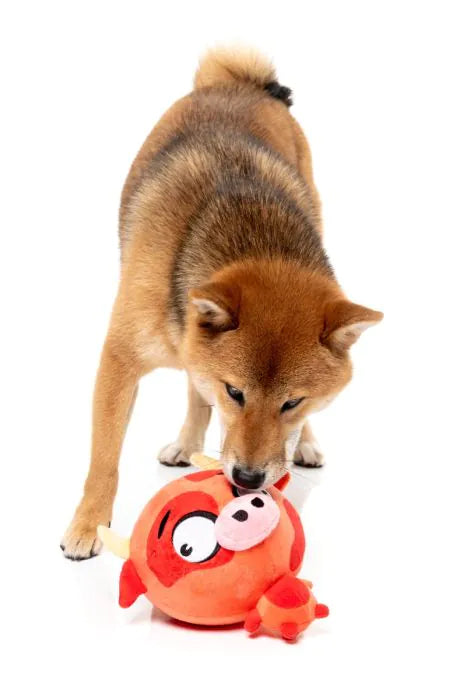 Dog Toy - Moo-hammad Ali