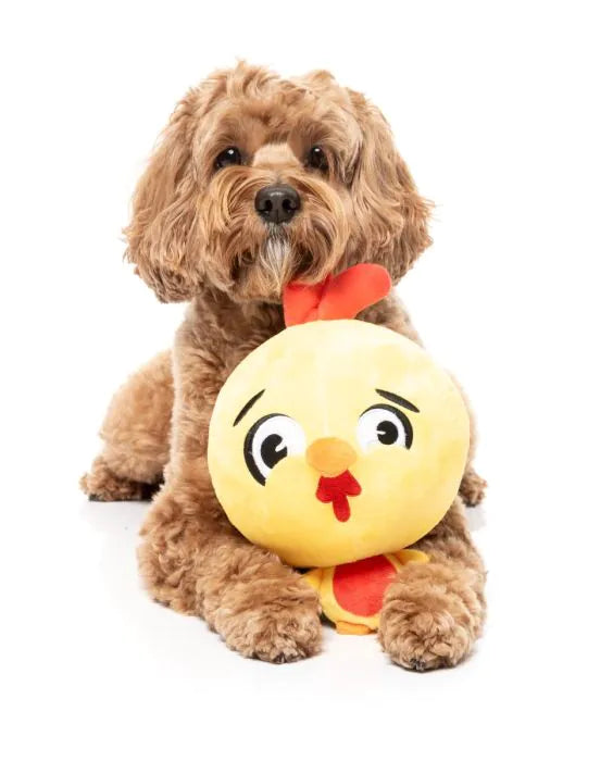 Dog Toy - Hen Diesel