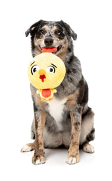 Dog Toy - Hen Diesel