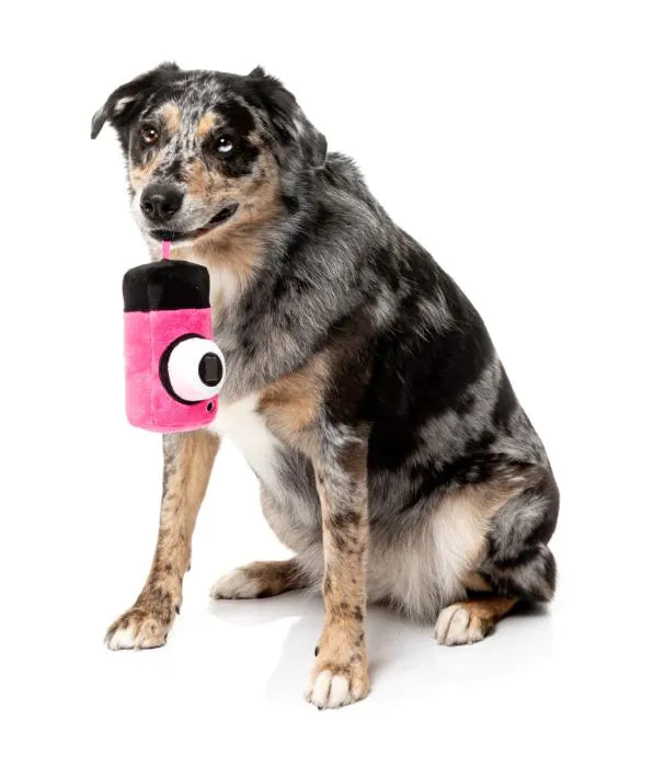 Dog Toy - Digicam