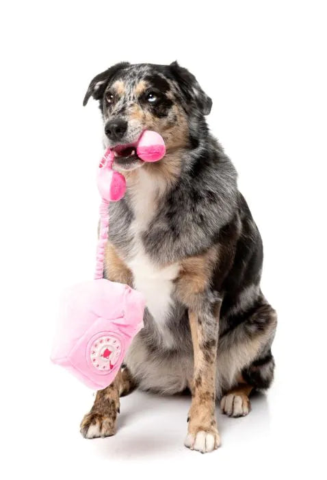 Dog Toy - You Hang Up Landline