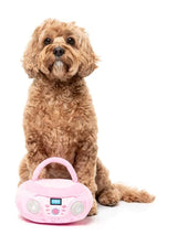 Dog Toy - Portable CD Player