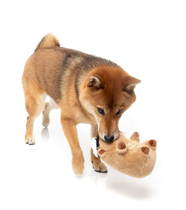 Dog Toy - Capy-tain