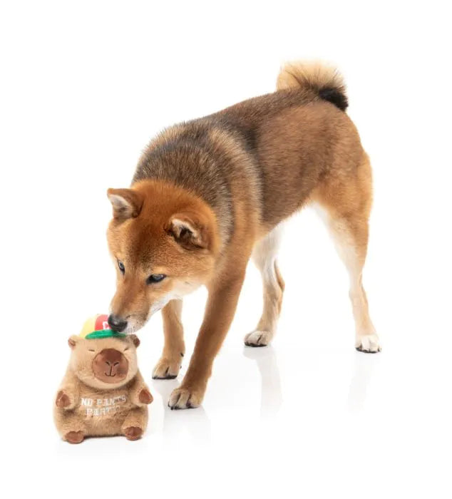 Dog Toy - Capy-bara