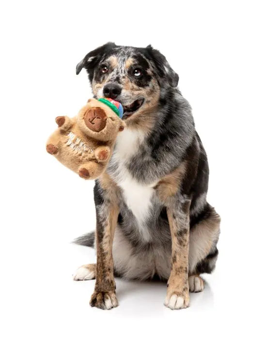 Dog Toy - Capy-bara