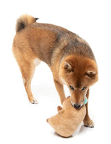 Dog Toy - Capy-ccino