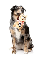 Dog Toy - #Ashleigh