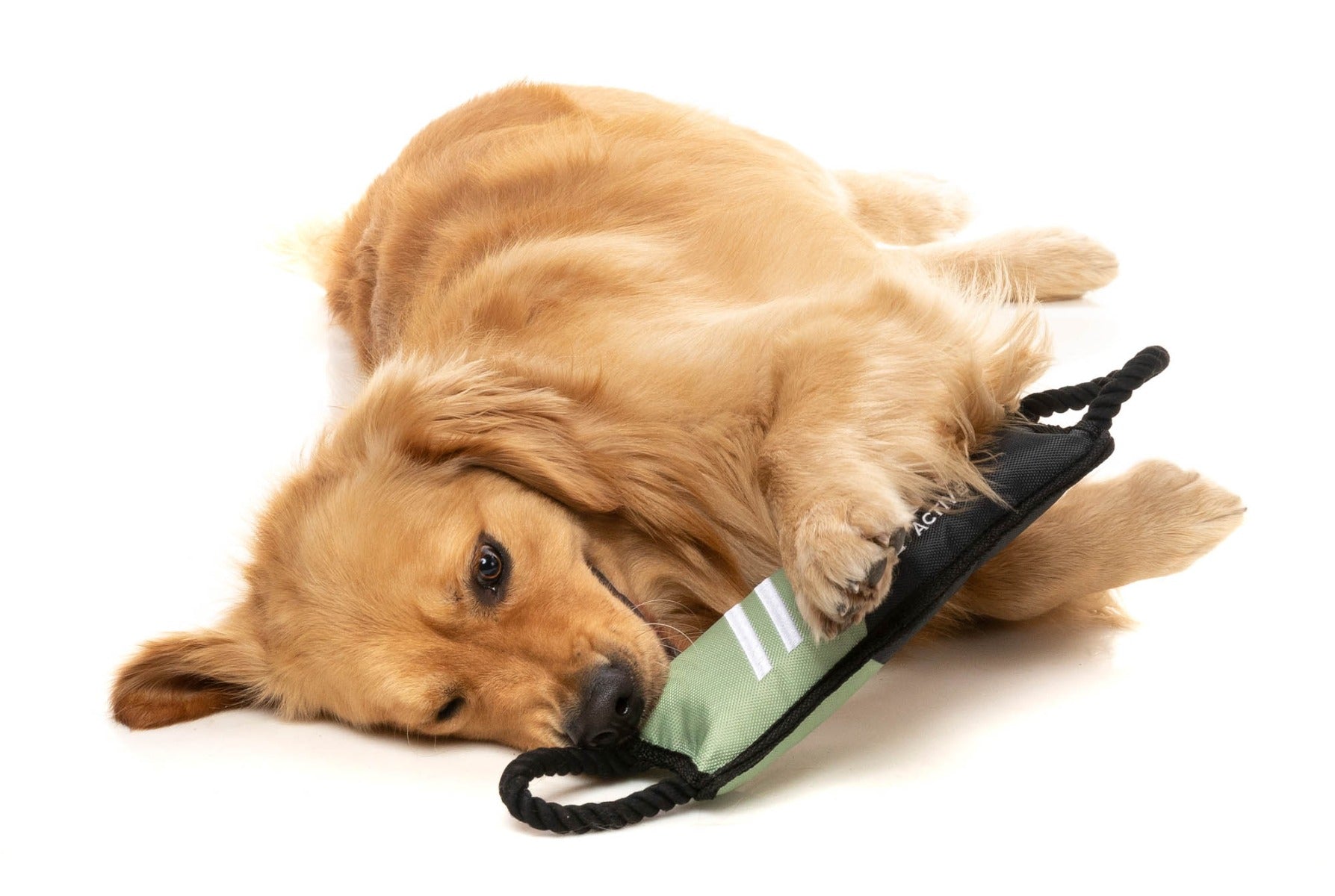 Rope Tug Dog Toy - Khaki by FY Active