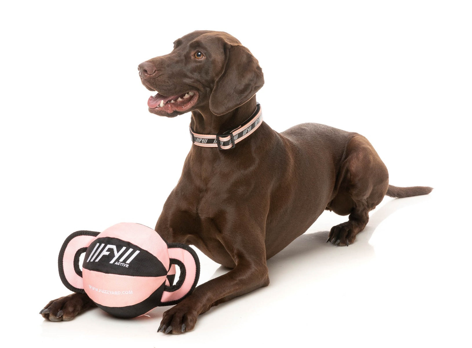 Ball Tug Dog Toy - Peach by FY Active