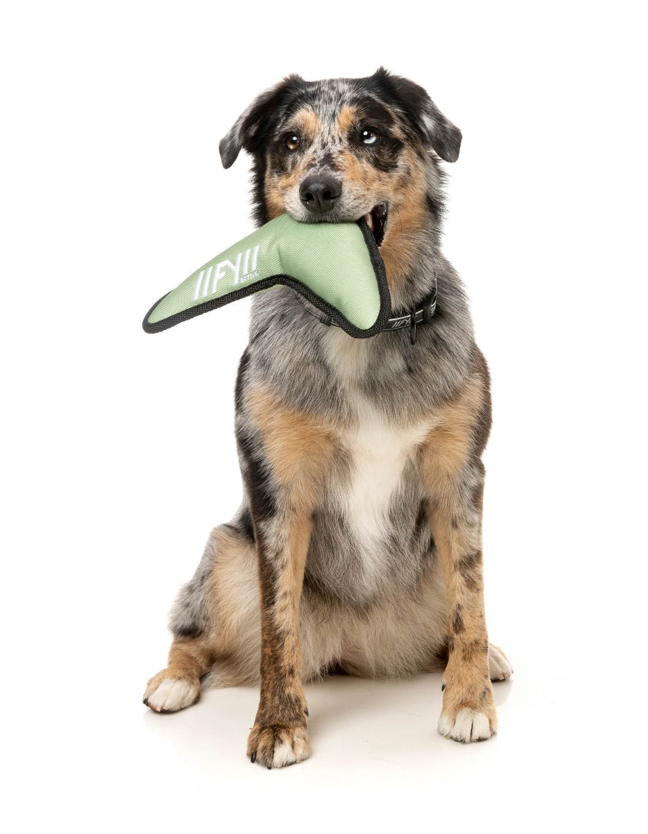 Flyer Dog Toy - Khaki by FY Active